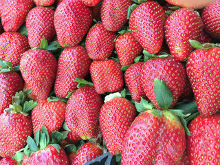 close up on a pile of fresh strawberries