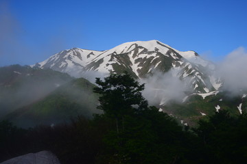 Fototapeta na wymiar 越後駒ヶ岳