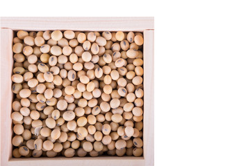 Soybeans on white background