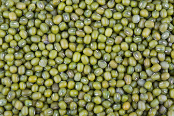 mung bean