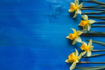 Foto op Plexiglas Narcis Gele bloemen narcissen op blauwe houten tafel. Mooie kleurrijke wenskaart voor Moederdag, verjaardag, 8 maart. Bovenaanzicht,