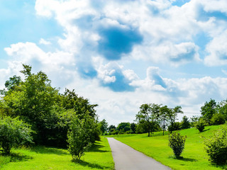 Radweg im Park im Frühling mit grüner Wiese und Bäumen