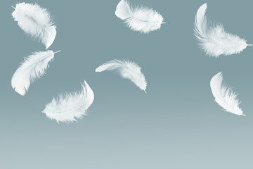 Abstract white feather falling in the air