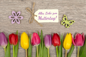 Tulpen zum Muttertag