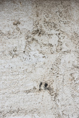 Concrete rude old texture