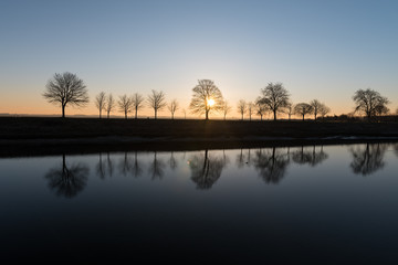Obraz premium Morning sunrise Backlight behind winter trees by the shore 