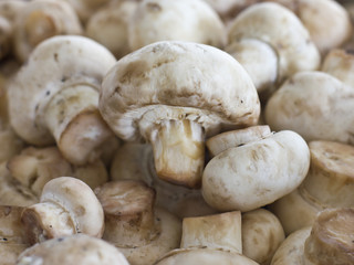 Peeled raw mushrooms champignons close-up. Selective focus