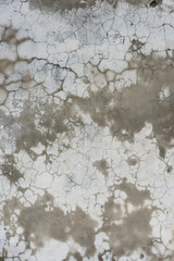 Wet concrete texture with cracks