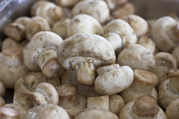 Peeled raw mushrooms champignons close-up. Selective focus