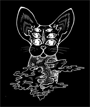 An illustration of a psychodelic cat. Black and white drawing of a cat. Chalk on a black oard.