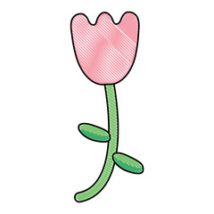 tulip flower icon