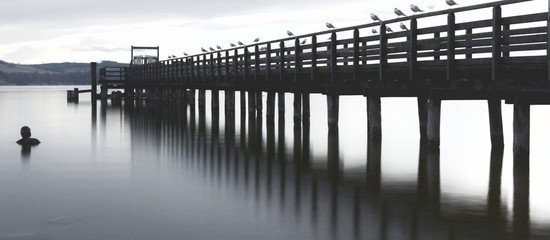 lange Seebrücke mit Möwen