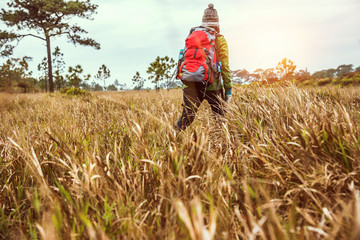 Asian women travel  nature. Travel relax.Backpack walk on the meadow in the forest. Thailand