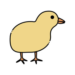 cute chicken icon