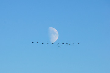 Vorbeiflug am Mond