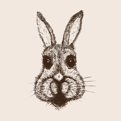 Vintage graphic Rabbit Vector Print
