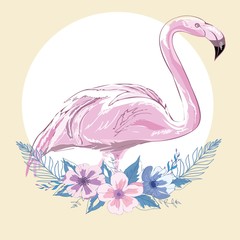 Pink flamingo vector illustration