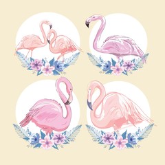 Pink flamingo vector illustration