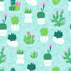 Vector seamless pattern with succulents and cactuses in pots, terrariums