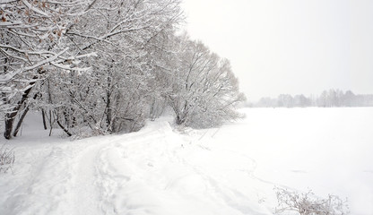 Fototapeta na wymiar Beautiful landscape with snow-covered path on the edge of the forest and frozen river under overcast winter day