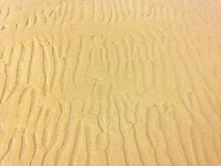 Beach close up. Sand texture background
