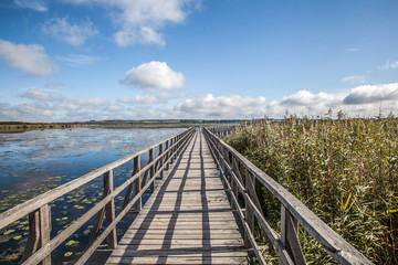 Steg zum Federsee in Bad Buchau Deutschland