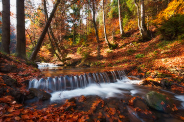Fototapeta na wymiar Amazing autumn scenery with yellow leaves on small branch above stream of mountain waterfall. Beautiful nature background.