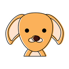 Cute animals design