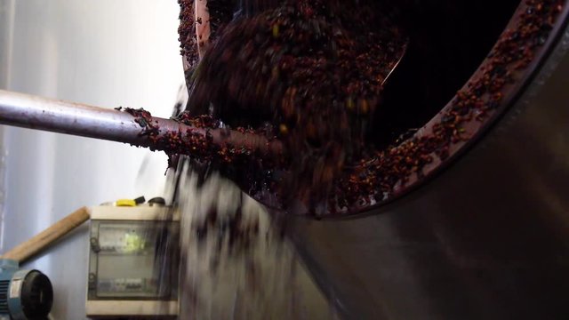 Pressed fermented grapes fall out of an industrial wine presser