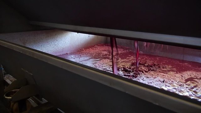 Pressed wine flowing out of a winemaking press