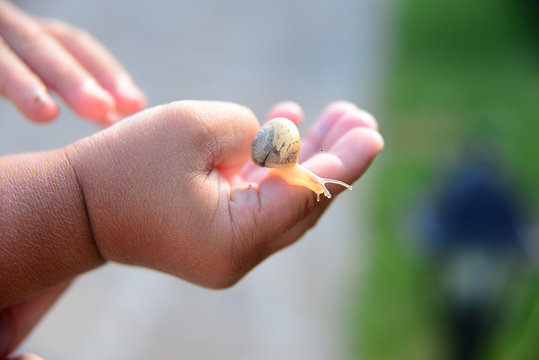 Snail on children's fingers