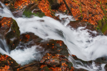 Beautiful frame autumn waterfall