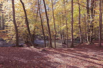 Fototapeta premium Würmtal im Herbst