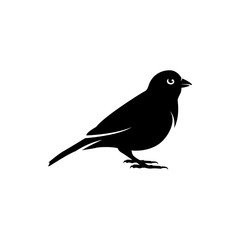 sparrow vector silhouette