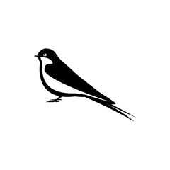 swallow bird vector silhouette