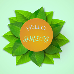 Spring background with green leaves and s frame.Hello, Spring. Vector illustration. Fresh template design for posters, flyers, brochures or vouchers.