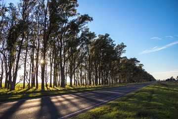 estrada