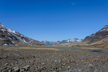 South Georgia landscape