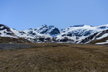 South Georgia landscape