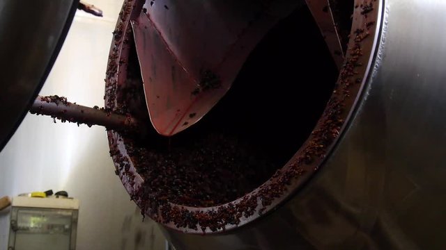 Industrial wine press in action. Crushed grapes fall out from machine