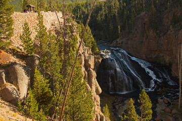 Obraz premium Gibbon Falls in Yellowstone National Park in Wyoming in the USA 