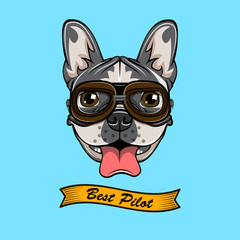 Bulldog. Dog pilot. Bulldog wearind in pilot s glasses. Vector illustration.