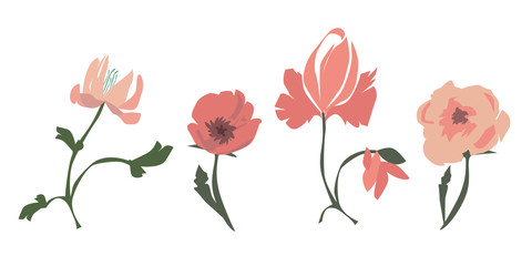 wild flowers - watercolor illustration