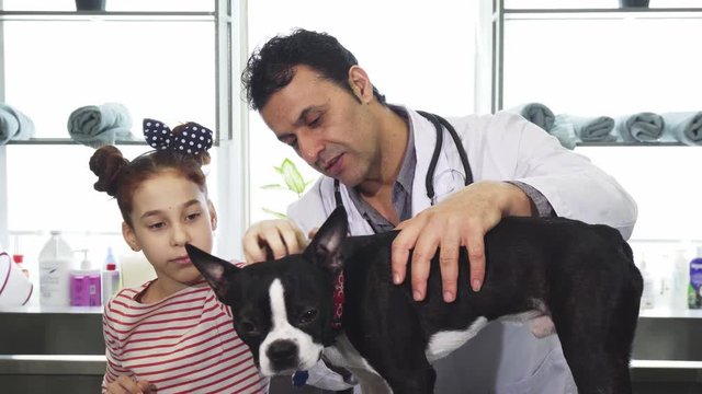 Handsome cheerful mature male vet working with his little client examining dog while little girl is petting the puppy service medicine family love profession occupation healthcare domestic canine.