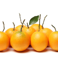 Orange fruit on the white background