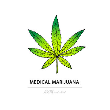 Illustration of medical marijuana. Suitable for use  in the desi
