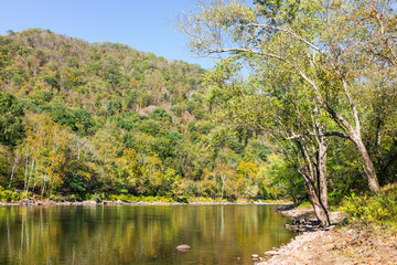Obraz premium New River Gorge water river lake during autumn golden orange foliage in fall by Grandview with peaceful calm tranquil day