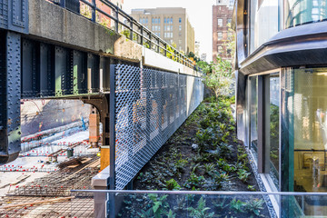 Highline, high line, urban garden in New York City NYC with buildings, balcony in Chelsea West Side by Hudson Yards - obrazy, fototapety, plakaty