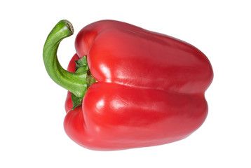 Sweet red pepper on white background