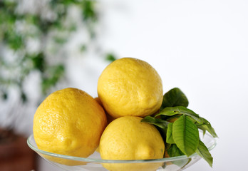 Lemon yellow healthy fruit with leaves